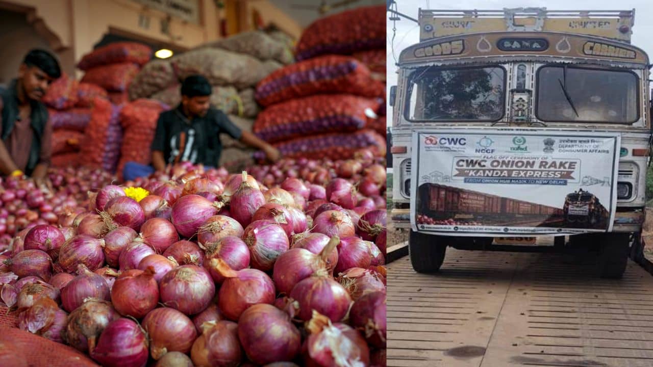 Onion Price: ৩৫ টাকা কেজি দরে মিলবে পেঁয়াজ, দাম নিয়ন্ত্রণে বড় পদক্ষেপ সরকারের
