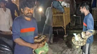 ছাগল খেতে ঢুকেছিল ১৫ ফুটের মস্ত পাইথন, গলা অবধি মদ খেয়ে সুরেশ যা করল! তাতে সাপও বলল, ‘ছেড়ে দে…’
