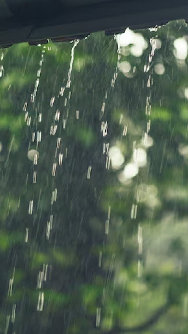 বুধবার থেকে বৃষ্টি বাড়বে দক্ষিণবঙ্গে!