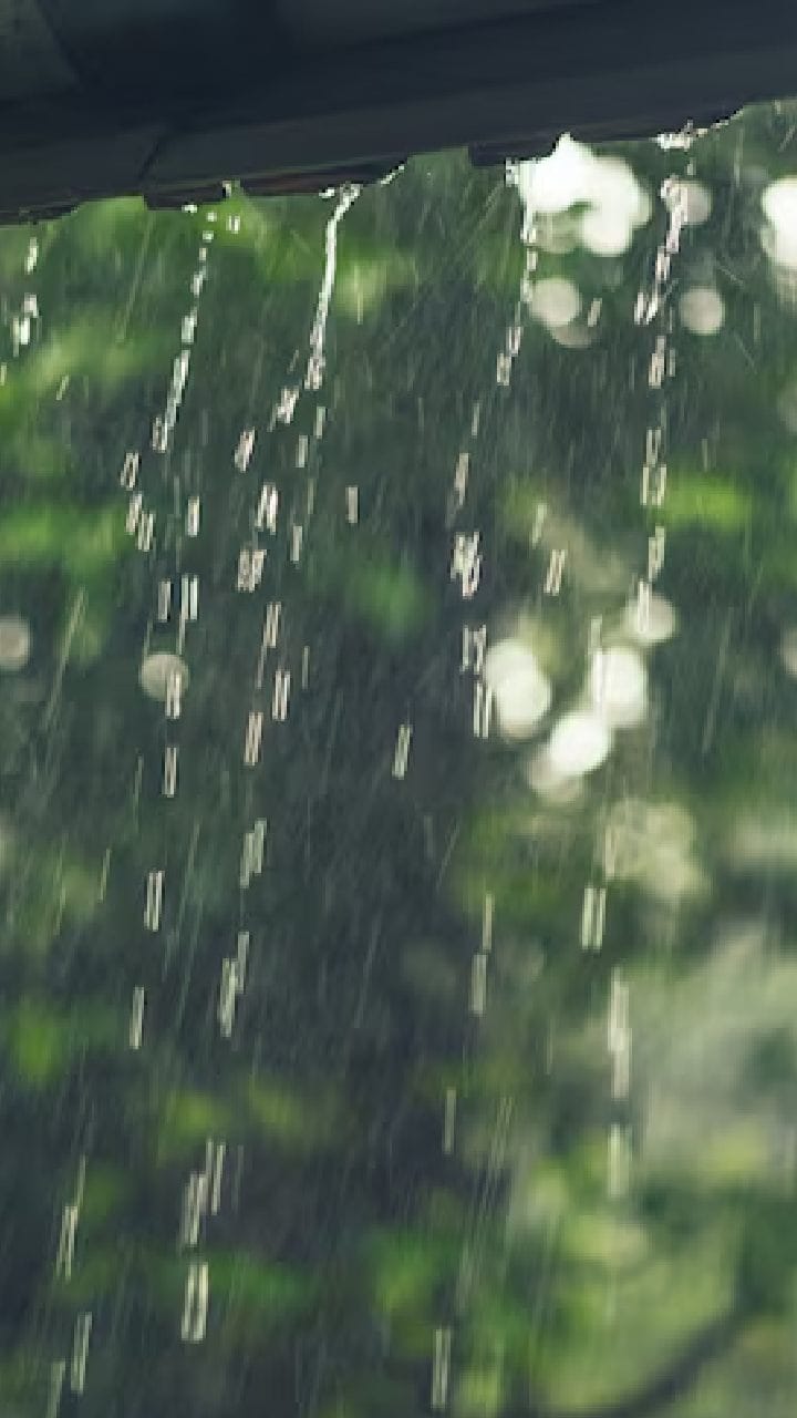 নিম্নচাপ কাটলেও ফের বড় আপডেট