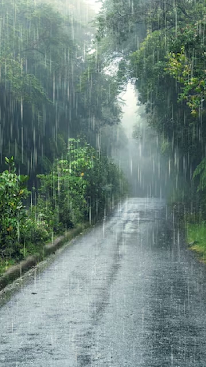 আবার বৃষ্টি হবে? কোথায়?