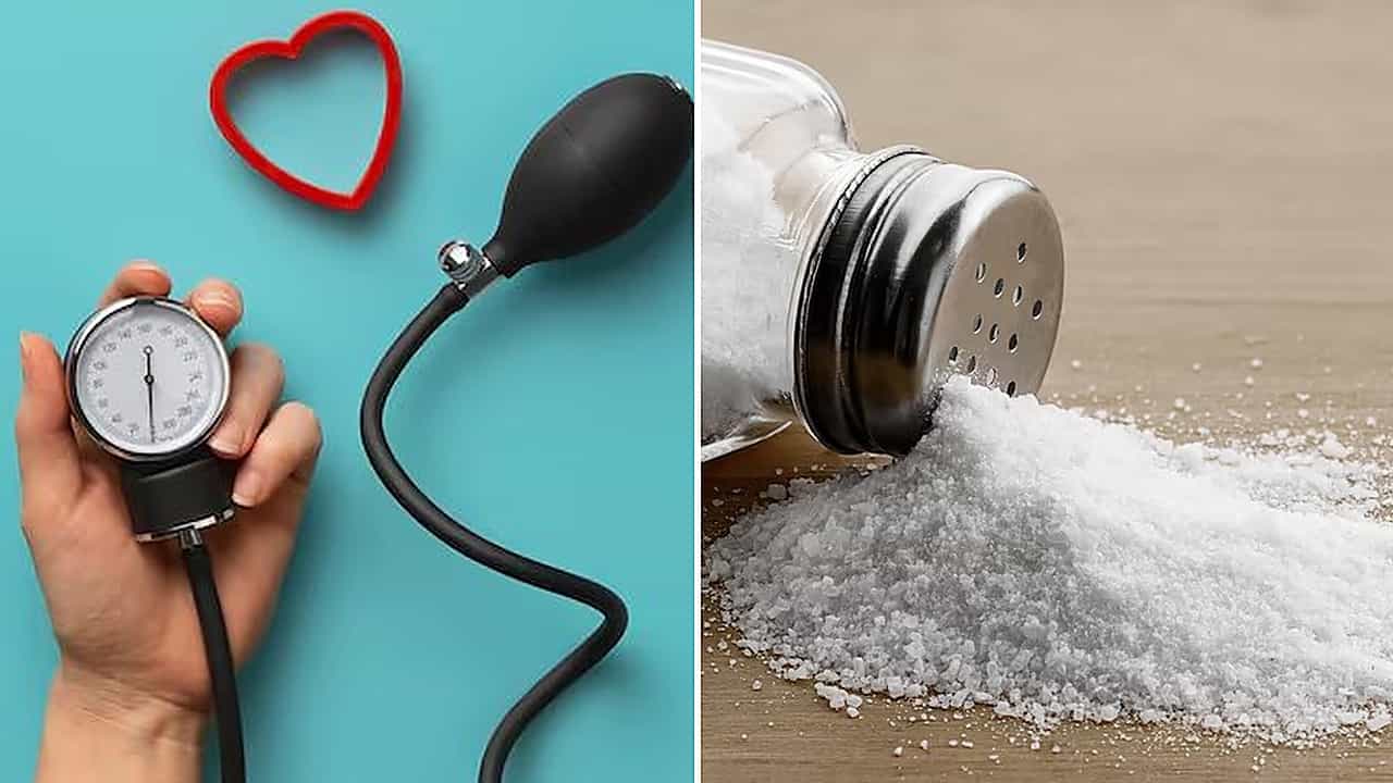 High BP: প্রেশার বাড়লে নুন একেবারে বন্ধ? দিনে কতটা নুন নিরাপদ, গবেষণা বলছে... High BP: প্রেশার বাড়লে নুন একেবারে বন্ধ? দিনে কতটা নুন নিরাপদ, গবেষণা বলছে...