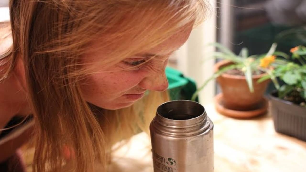Clean Smelly Water Bottles: জলের বোতলে বোঁটকা গন্ধ? ব্রাশ লাগবে না, রান্নাঘরের ৩ জিনিসেই হবে ঝকঝকে পরিষ্কার