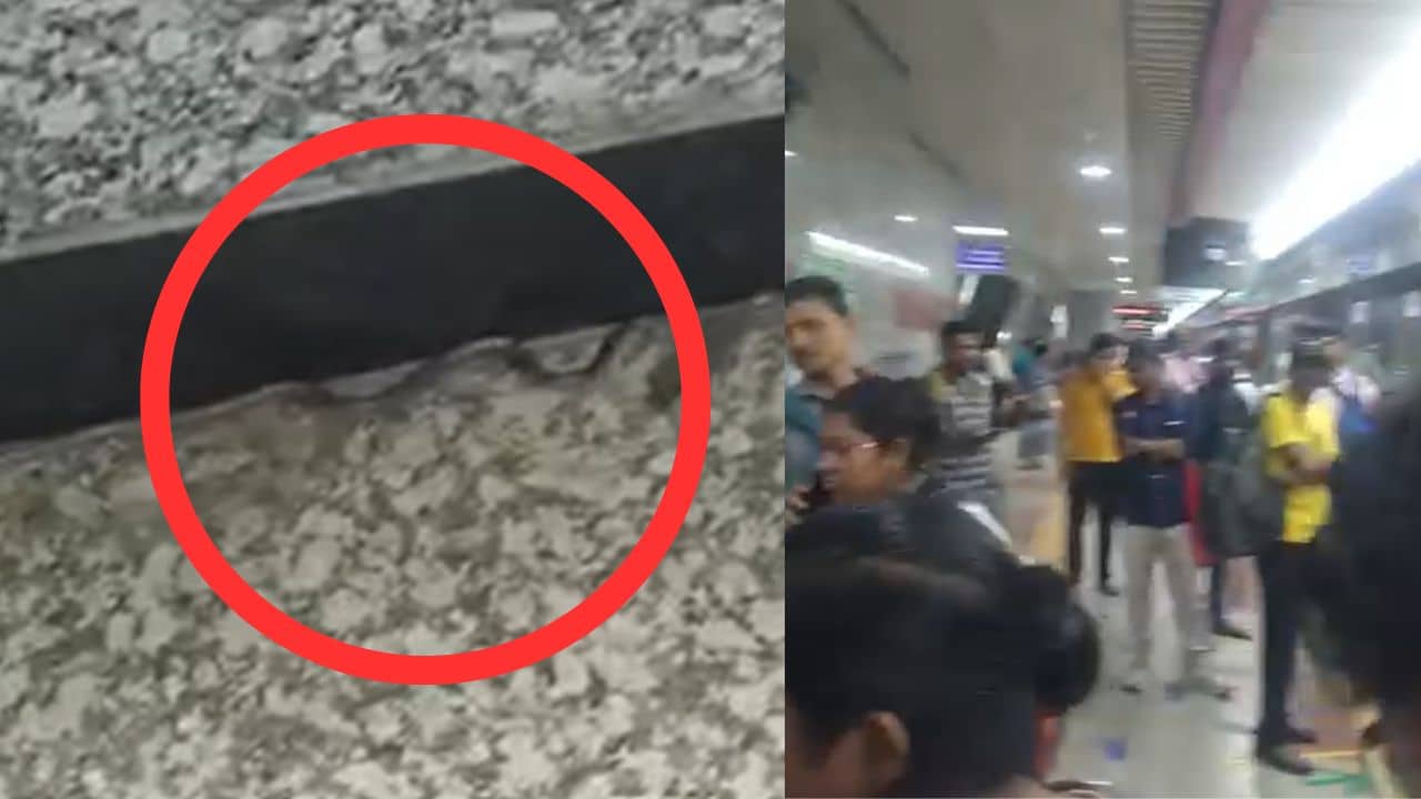 Snake in Kolkata Metro: এসপ্ল্যানেড মেট্রোয় বিষাক্ত সাপ! পায়ের সামনে দেখেই চিল-চিৎকার যাত্রীদের, শেষে কী হল?