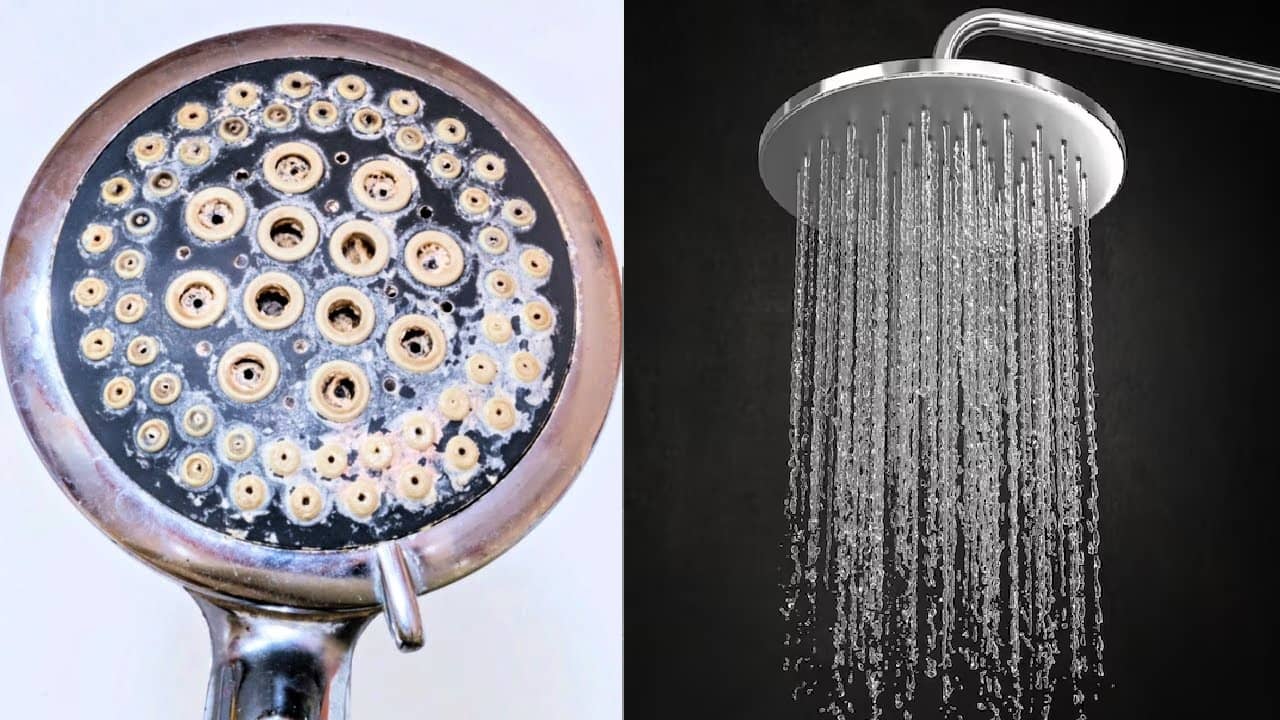 Shower head limescale cleaning: শাওয়ারের ফুটো বন্ধ? বেকিং সোডা, ভিনিগার নয়! এই জিনিস দিলেই ঝর্নার মত ঝরবে জল
