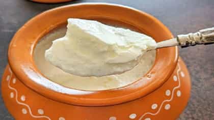 রাতে টকদই খাওয়া কি উচিত? বিশেষজ্ঞরা বলছেন...