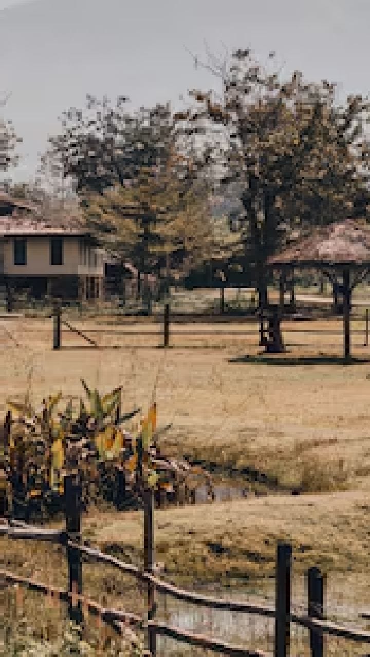 একসঙ্গে চাষ, বদলে গেল পুরো গ্রামের ভাগ্য!