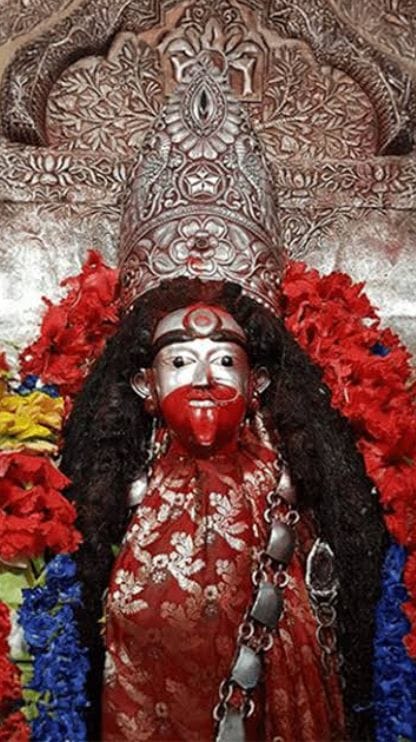 কৌশিকি অমাবস্যায় এবার ভিড় এড়িয়ে করা যাবে অনলাইনে দর্শন
