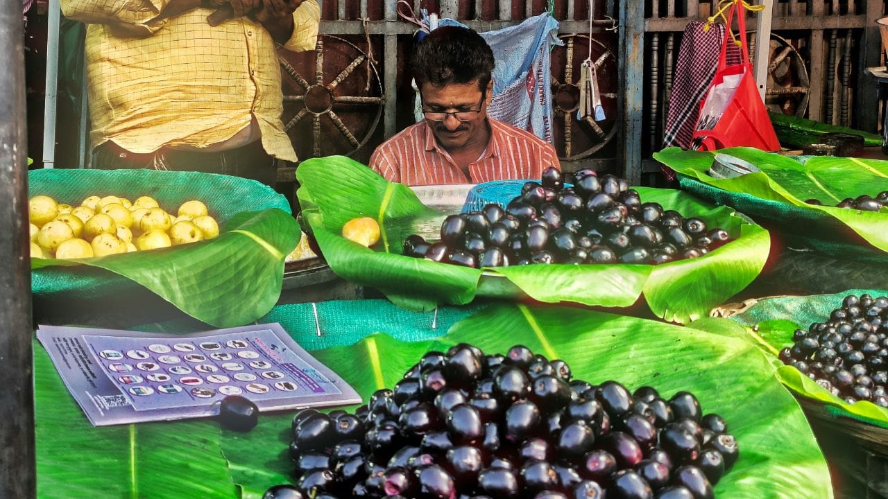 জামও খুব স্পর্শকাতর একটি ফল। এটি নরম ফল বলেও পরিচিত। ফ্রিজের ভেতরের আদ্রতা জামের গায়ে জমে গেলে তাতে খুব দ্রুত ছাতা বা ফাঙ্গাস ধরে যেতে পারে। এর ফলে জাম পচে যায়। অতিরিক্ত ঠান্ডার ফলে জামের ভেতরের কষা ভাব চলে যায়। (Credit - Unsplash)