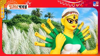 ১০ হাতের ৮ টিই ছোট, বসু বাড়ির মাদুর্গা কেন এমন? নেপথ্যে কোন গল্প?