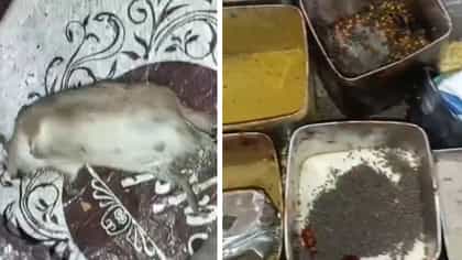 রেস্তোরাঁর রান্নাঘরে মরা ইঁদুর, ফ্রিজে ছত্রাক ধরা খাবার