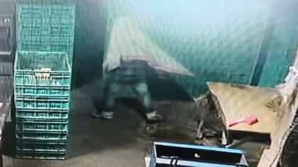 ডিভোর্স নিয়ে ঠাট্টা ম্যানেজারের, সবক শেখাতে খুনই করে দিল কর্মী