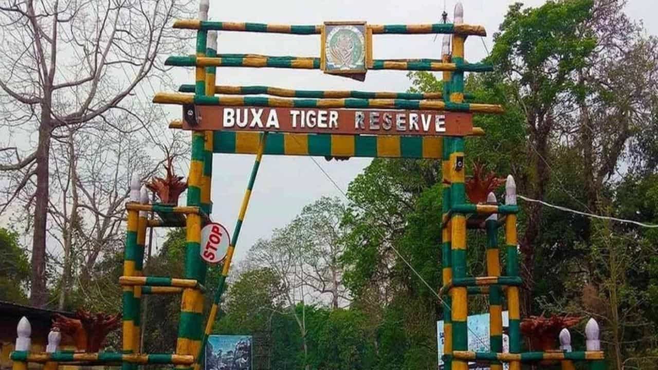 Buxa Tigress Release: গণ্ডকের জলে ডুবে জঙ্গল, বৃষ্টির মধ্যে বাঘিনি খুঁজতে হন্যে বন দফতর! Buxa Tigress Release: গণ্ডকের জলে ডুবে জঙ্গল, বৃষ্টির মধ্যে বাঘিনি খুঁজতে হন্যে বন দফতর!