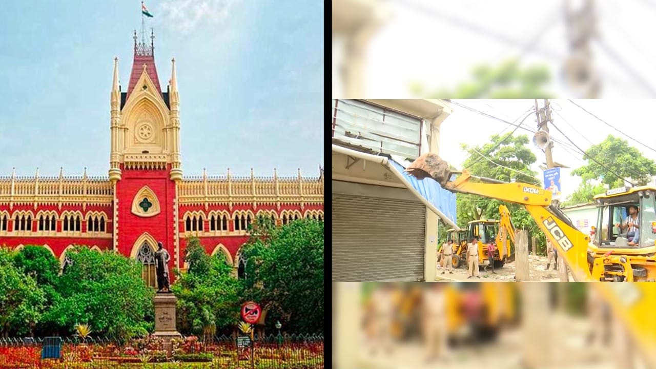 Calcutta High Court: অভিষেকের আইনজীবীর উপর অসন্তোষ প্রকাশ বিচারপতির, কেন?