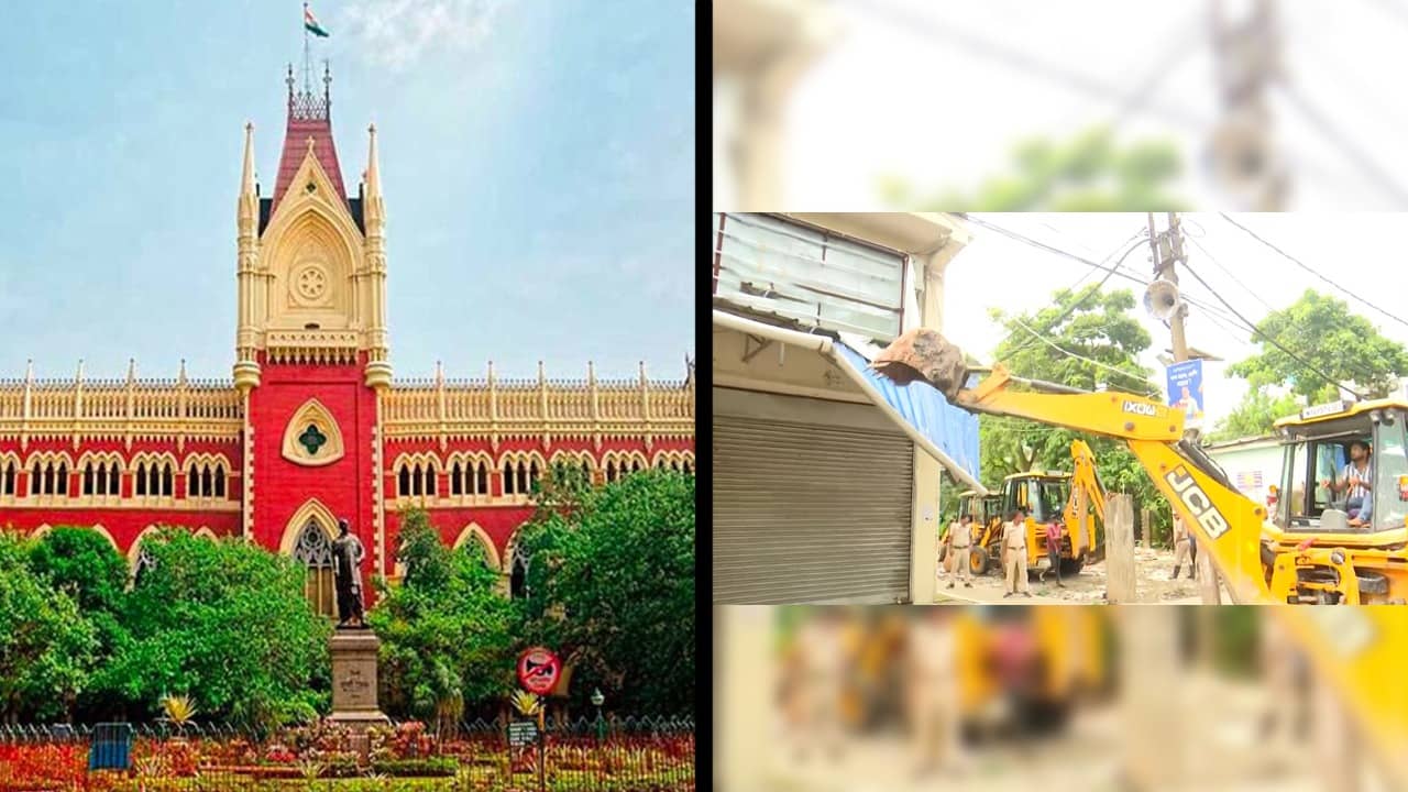 Calcutta High Court: অভিষেকের আইনজীবীর উপর অসন্তোষ প্রকাশ বিচারপতির, কেন?