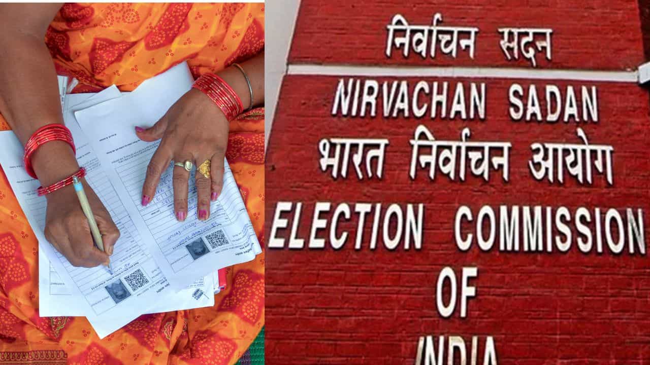 SIR-এ 'VIP' মার্ক কী? তারা কী কী সুবিধা পান? SIR-এ 'VIP' মার্ক কী? তারা কী কী সুবিধা পান?
