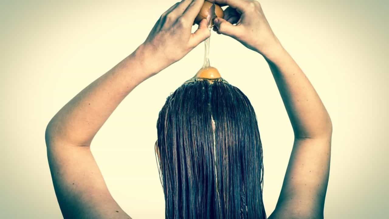 Egg Hair Mask Hair: পুজোর আগে চুলে ডিম থেরাপি, এভাবে মাখলে আঁশটে গন্ধও দূর হবে Egg Hair Mask Hair: পুজোর আগে চুলে ডিম থেরাপি, এভাবে মাখলে আঁশটে গন্ধও দূর হবে
