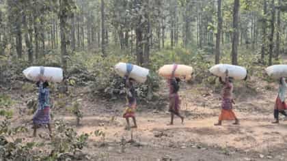 'গুপ্তধনে'র খোঁজ! বিত্তশালী হওয়ার পথে ঝাড়গ্রাম