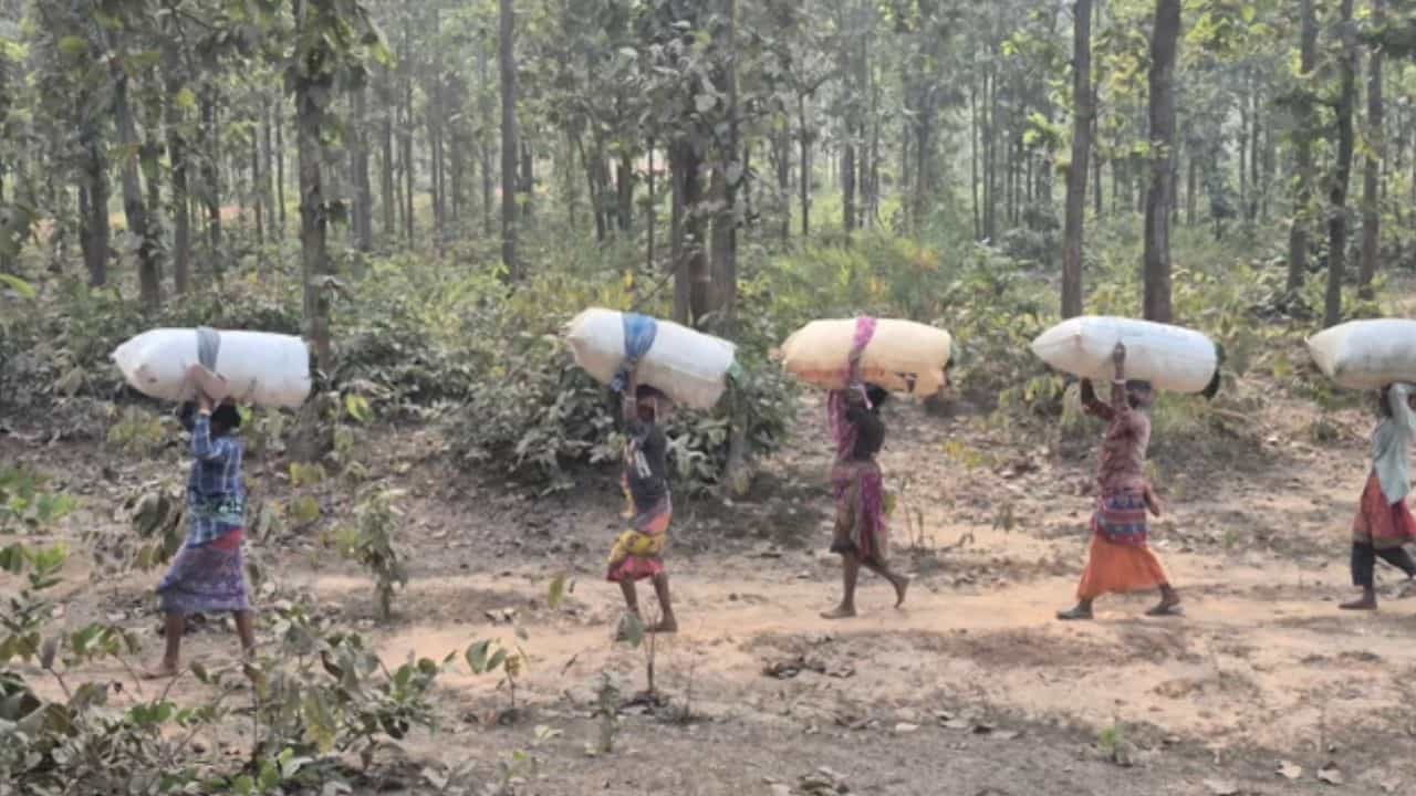 Jhargram Manganese Reserve: 'গুপ্তধনে'র খোঁজ! বিত্তশালী হওয়ার পথে ঝাড়গ্রাম Jhargram Manganese Reserve: 'গুপ্তধনে'র খোঁজ! বিত্তশালী হওয়ার পথে ঝাড়গ্রাম