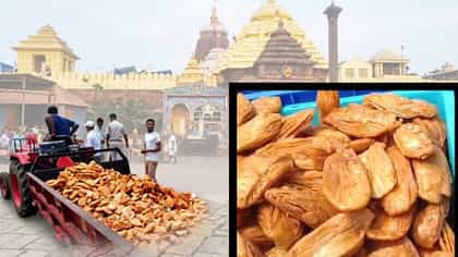 পুরীর স্বর্গোদ্বারের আশপাশে বড় অভিযান, ফেলা হল কুইন্টাল কুইন্টাল খাজা
