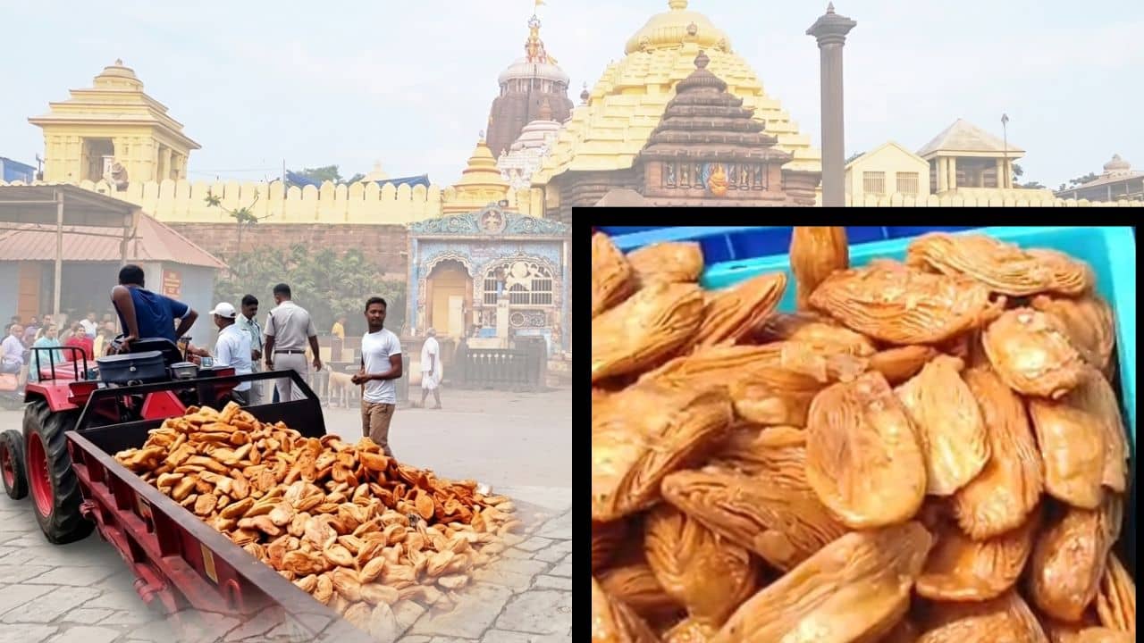 Puri Khaja: পুরীর স্বর্গোদ্বারের আশপাশে অভিযান চালাতেই চোখ কপালে, ফেলা হল কুইন্টাল কুইন্টাল খাজা