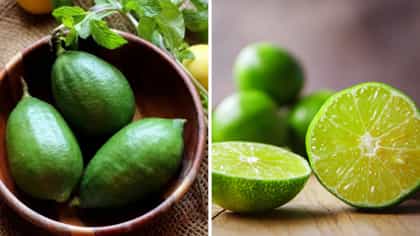 গন্ধ লেবু নাকি পাতিলেবু, জানেন Vitamin C কার মধ্যে সবচেয়ে বেশি?