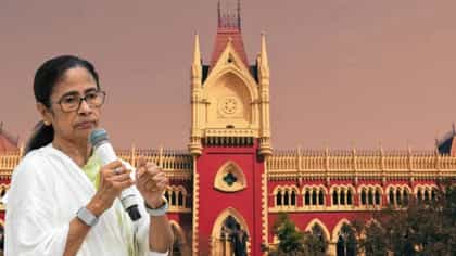 প্রতীক ফ্রিজ হলেও অ্যাকাউন্ট ব্যবহারে বাধা নেই মমতা তৃণমূলের: হাইকোর্ট