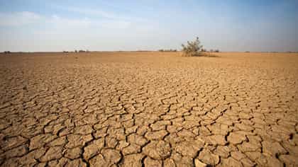 এদিকে বৃষ্টিতে ভাসছে, ওদিকে খরা ঘোষণা হল! El Nino-র কোপ পড়ল কোথায়?