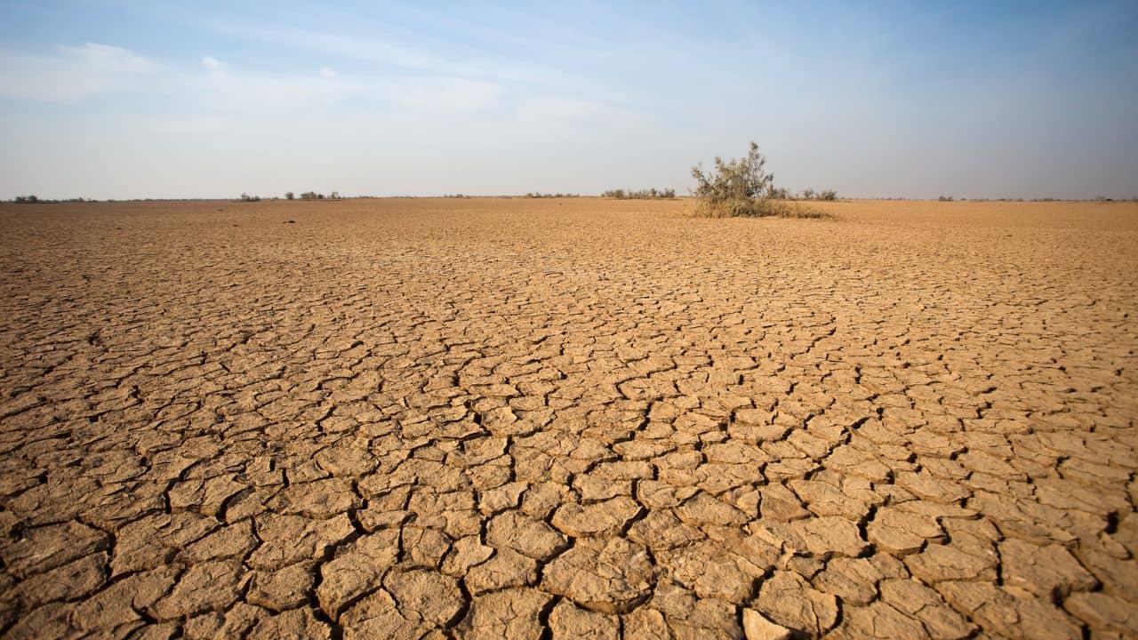 El Nino: এদিকে বৃষ্টিতে ভাসছে, ওদিকে খরা ঘোষণা হল! El Nino-র কোপ পড়ল কোথায়?