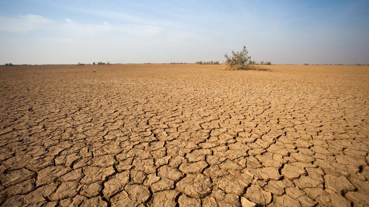 El Nino: এদিকে বৃষ্টিতে ভাসছে, ওদিকে খরা ঘোষণা হল! El Nino-র কোপ পড়ল কোথায়? El Nino: এদিকে বৃষ্টিতে ভাসছে, ওদিকে খরা ঘোষণা হল! El Nino-র কোপ পড়ল কোথায়?