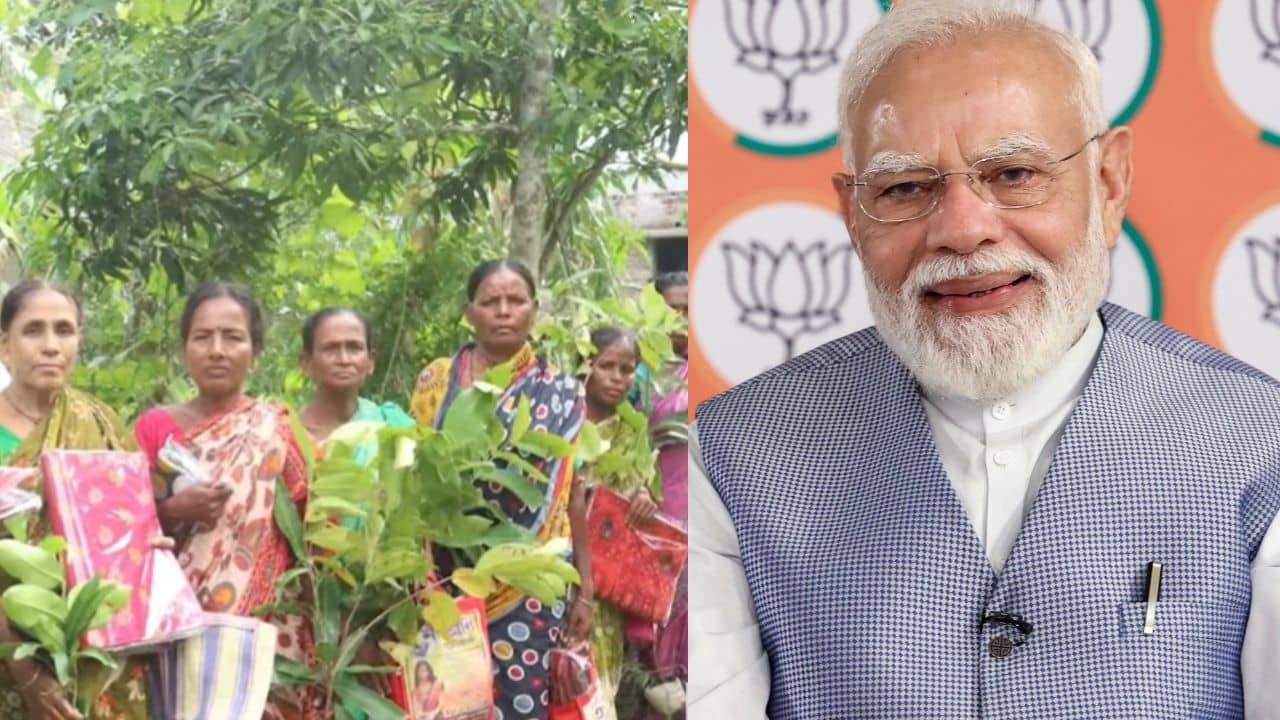 PM Narendra Modi: ঝড়খালির বাঘ-বিধবাদের প্রশংসা প্রধানমন্ত্রীর, কী বললেন তাঁদের সম্পর্কে?