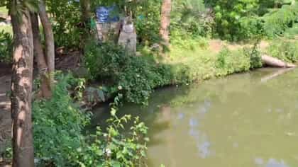 হাত-পা ইট দিয়ে বাঁধা, পুকুর থেকে উদ্ধার ৭০ বছরের বৃদ্ধার দেহ