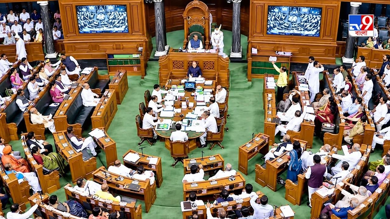 indian parliament: আমাদের সংসদের প্রয়োজন কেন?