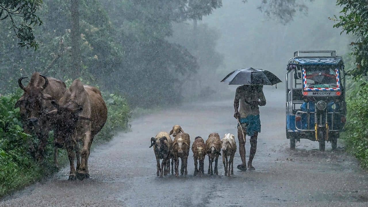 West Bengal Rain Update: উপকূলে পৌঁছল অতি গভীর নিম্নচাপ, আসল খেলা শুরু হবে এবার? আগেই এল সতর্কবার্তা