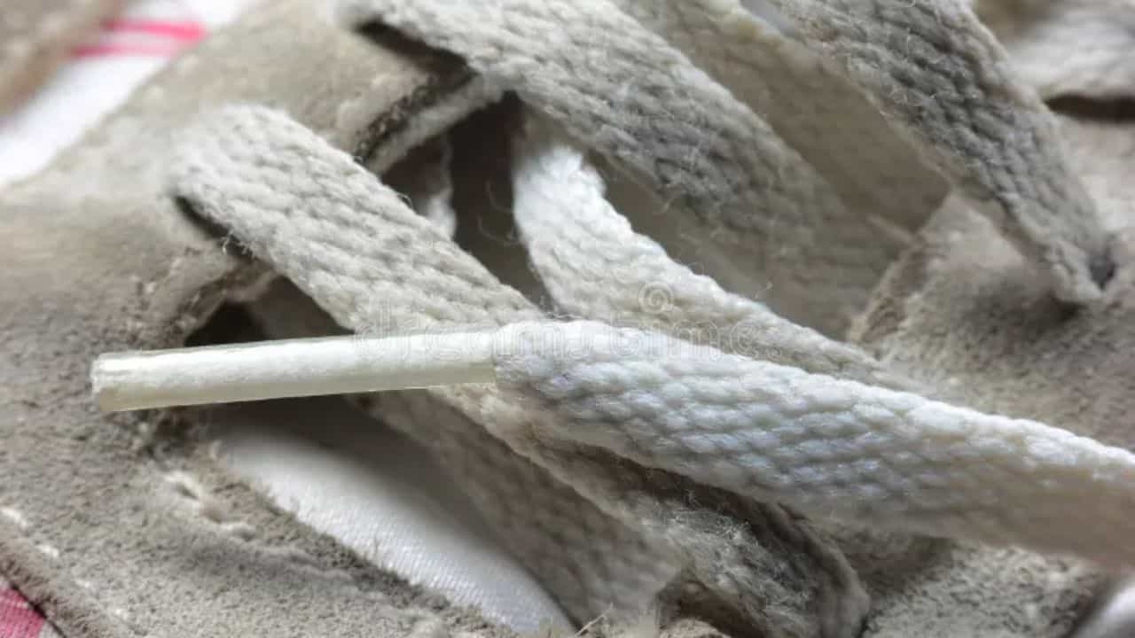 Shoelace Tip General Knowledge: জানেন জুতোর ফিতের মাথায় কেন প্লাসটিকের ক্যাপ থাকে? এর নাম কী? Shoelace Tip General Knowledge: জানেন জুতোর ফিতের মাথায় কেন প্লাসটিকের ক্যাপ থাকে? এর নাম কী?