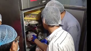 Kolkata Restaurant Raid: ফ্রিজ খুলতেই মিলল কেজি কেজি পচা মাংস, প্রাক্তন মন্ত্রী সুজিত বসুর ছেলের রেস্তরাঁতে অভিযান চালিয়ে চক্ষু চড়কগাছ আধিকারিকদের