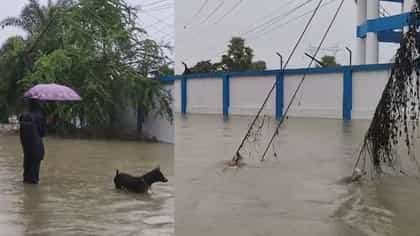 ১১ হাজার ভোল্টে ঝলসে গেল যুবক! কিছুক্ষণেই রহস্যমৃত্যু বন্ধুরও