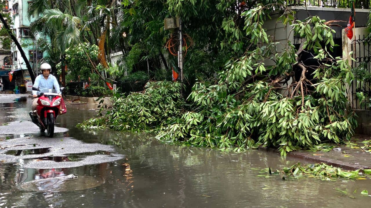 Weather News: পুজোর আগেই আসছে ঘূর্ণিঝাড়? কী বলছে হাওয়া অফিস?