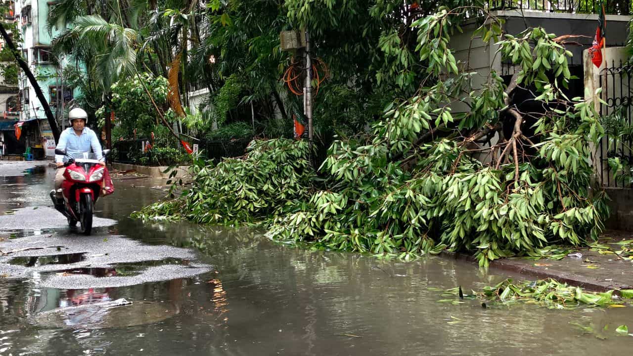 Weather News: পুজোর আগেই আসছে ঘূর্ণিঝাড়? কী বলছে হাওয়া অফিস? Weather News: পুজোর আগেই আসছে ঘূর্ণিঝাড়? কী বলছে হাওয়া অফিস?
