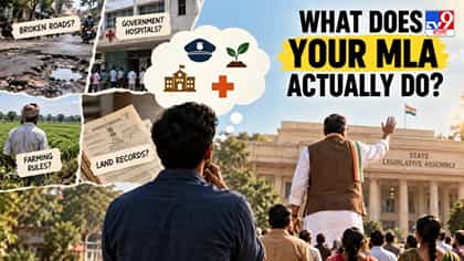 MLA আসলে কী করেন? কেন উত্তরটা আপনার দৈনন্দিন জীবনের জন্য গুরুত্বপূর্ণ