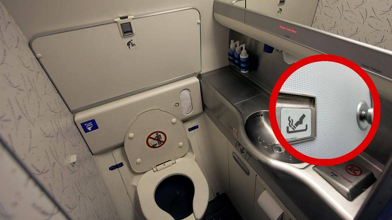 Flight secrets: ধূমপান নিষিদ্ধ, তাও বিমানের বাথরুমে কেন অ্যাশট্রে থাকে জানেন?