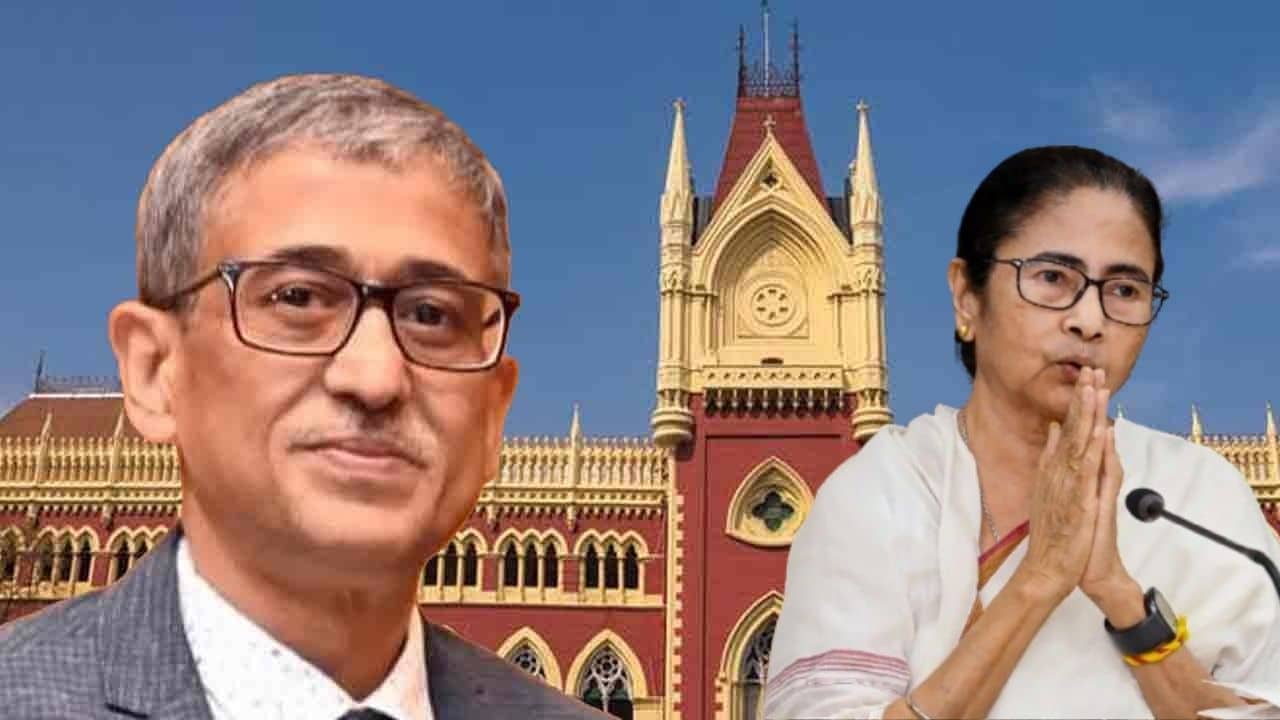 Calcutta High Court On Mamata: যে যা বলবে, তাই শুনতে হবে?, মমতার হাদি-মন্তব্যের মামলায় বিচারপতির মুখে তাপস পালের কথা