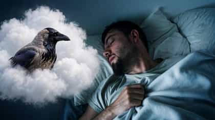 স্বপ্নে কাক দেখা শুভ না অশুভ?