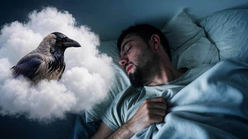 Dream Meaning: স্বপ্নে কাক দেখা শুভ না অশুভ?