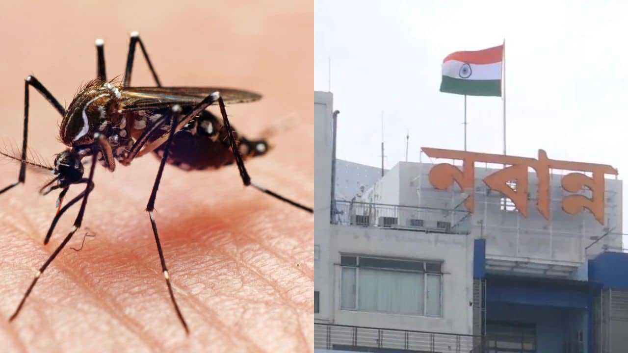 Dengue Alert: অক্টোবর ও নভেম্বর হাই রিস্ক, ডেঙ্গি নিয়ে বড় পদক্ষেপ নবান্ন-র