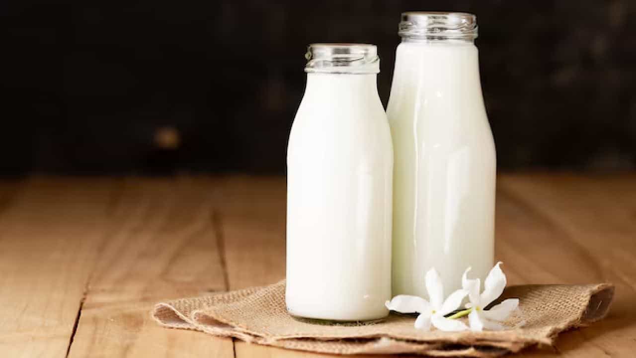 সকালের এক কাপ চা কিংবা শিশুর পুষ্টির গ্লাস, রোজকার ডায়েটে দুধ ছাড়া আমাদের চলেই না। তবে পাতলা ভাব ঢাকতে কিংবা ঘন দেখাতে দুধে মারাত্মক ডিটারজেন্ট মেশানোর মতো বিপজ্জনক ভেজাল ক্রমশ বাড়ছে। অজান্তেই বিষাক্ত রাসায়নিক পেটে ঢুকে শরীরের বড় ক্ষতি করছে কি না, তা নিয়ে অনেকেই চিন্তিত থাকেন। Free Pik