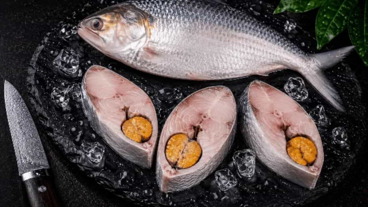 How to store Hilsa fish: এভাবে ঘরেই ইলিশ স্টোর করলে তাজা থাকবে বহুদিন How to store Hilsa fish: এভাবে ঘরেই ইলিশ স্টোর করলে তাজা থাকবে বহুদিন