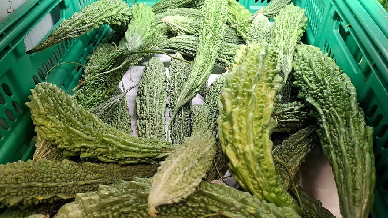 সাধারণ শসা বা অন্যান্য cucurbit আমরা সাধারণত তেতো স্বাদের জন্য খাই না, কিন্তু গাছটি বিভিন্ন ধরনের stress-এর মধ্যে পড়লে কিছু কিউকারবিট-এ কিউকারবিটাসিন-এর মাত্রা বেড়ে যেতে পারে। তখন শসা, জুকিনি, স্কোয়াশ-এর মতো সাধারণত কম-তেতো সবজিও অস্বাভাবিক তেতো হয়ে উঠতে পারে। Poison Control-এর তথ্য অনুযায়ী, উচ্চ মাত্রার কিউকারবিটাসিন থাকা এই ধরনের সবজি দেখতে ও গন্ধে স্বাভাবিক হলেও স্বাদে অত্যন্ত তেতো হতে পারে। তবে করলার গল্পটা আলাদা, Momordica charantia-র ফল স্বাভাবিকভাবেই তেতো এবং এর তিক্ততার সঙ্গে বিভিন্ন bioactive compound-এর সম্পর্ক রয়েছে। Getty Images