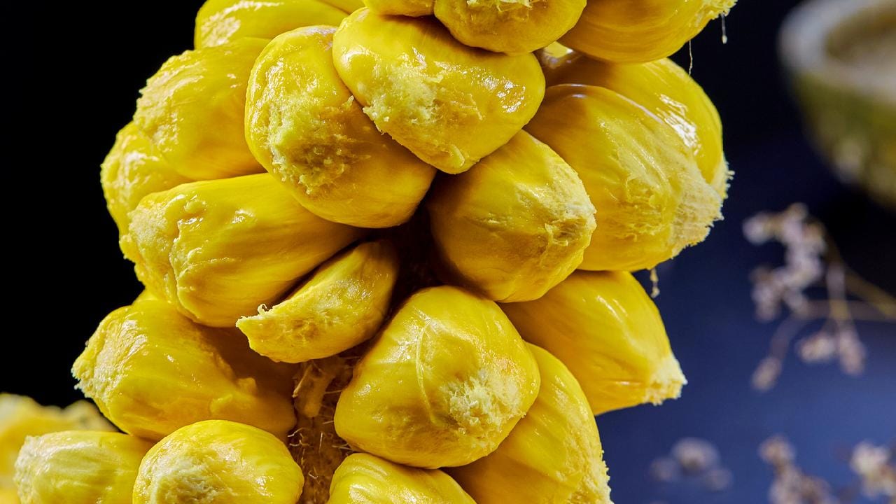 যাঁরা নিয়মিত রক্ত পাতলা করার((Blood thinning) ওষুধ খান, তাঁদের ক্ষেত্রে কাঁঠালের বীজ মারাত্মক বিপদের কারণ হতে পারে। গবেষণায় দেখা গিয়েছে, এই বীজের নির্যাস রক্তজমাট বাঁধার প্রক্রিয়াকে ধীর করে দেয়, যা ওষুধের সঙ্গে মিশে রক্তপাতের ঝুঁকি বাড়ায়। তাই এমন কোনও শারীরিক সমস্যা থাকলে চিকিৎসকের পরামর্শ ছাড়া এটি একেবারেই খাওয়া উচিত নয়। Getty Images