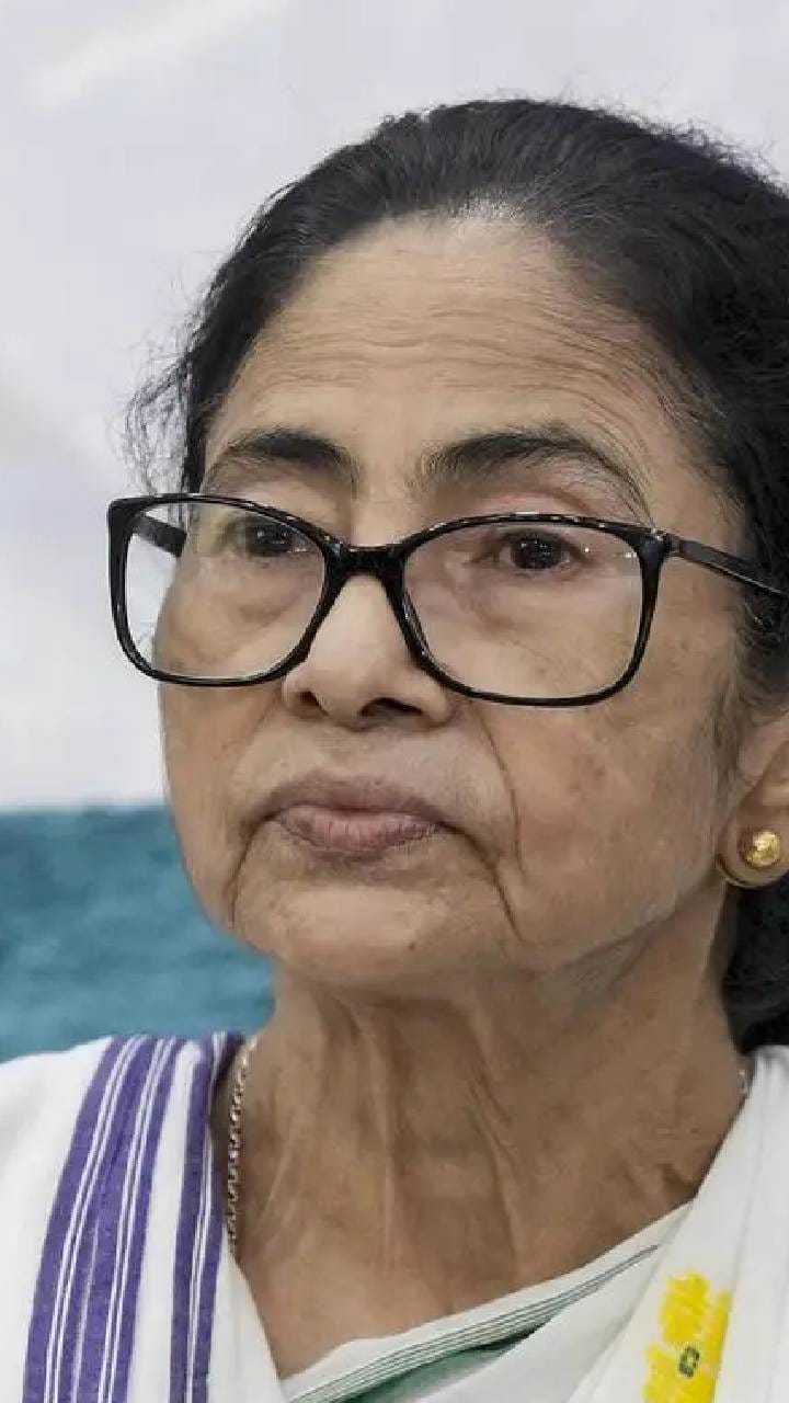 'মমতা নিজের ভাইপোকে জনপ্রিয় করতে গিয়ে শেষ...'